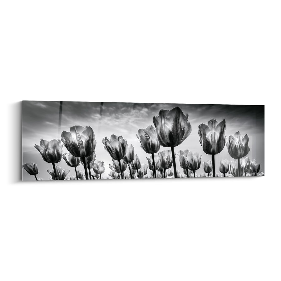 Tableau Tulipes noires et blanches en contre-jour - Ciel nuageux dramatique - Edition Tulipe
