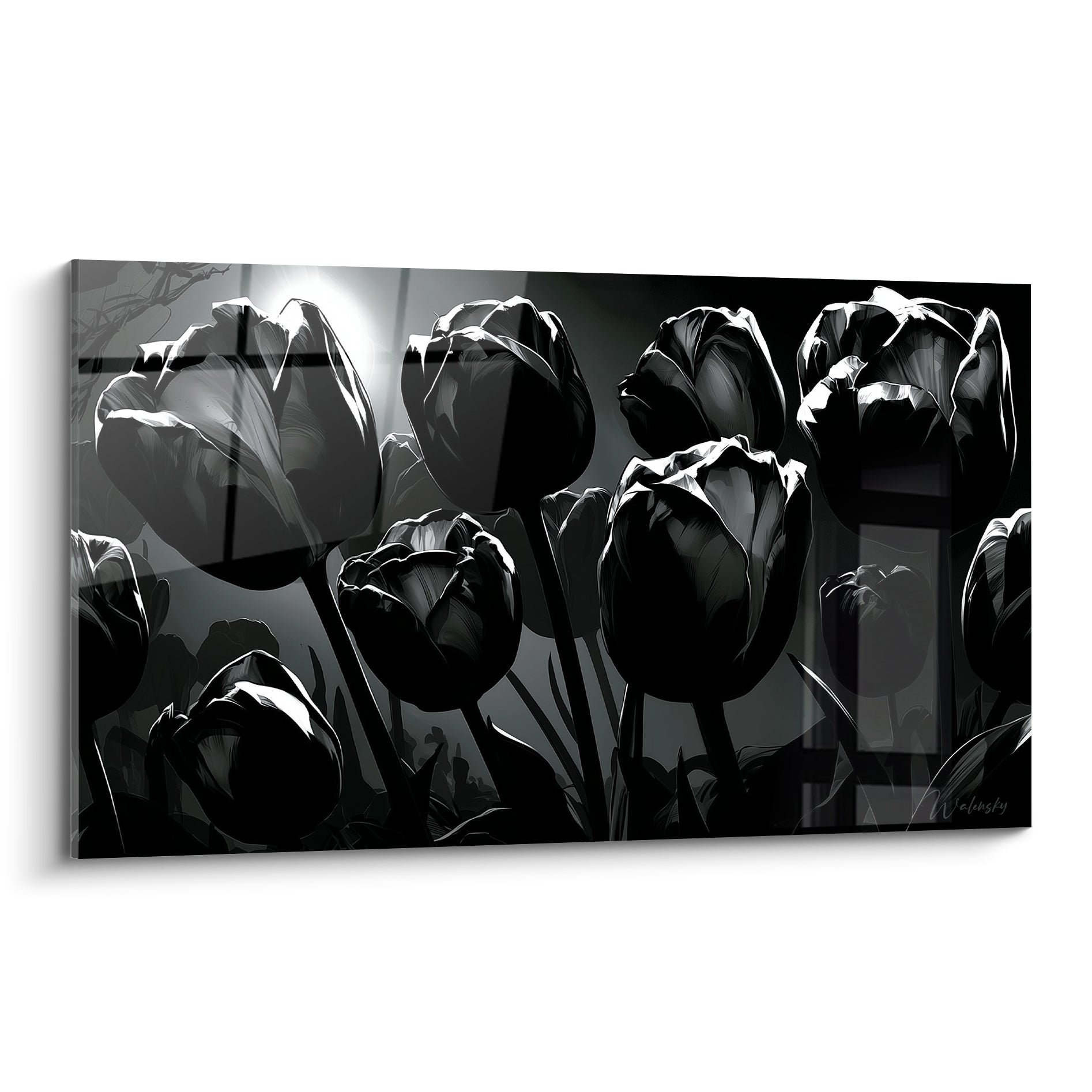 Tulipes noires en contre-jour, silhouettes profondes et blanc lumineux, composition graphique intense