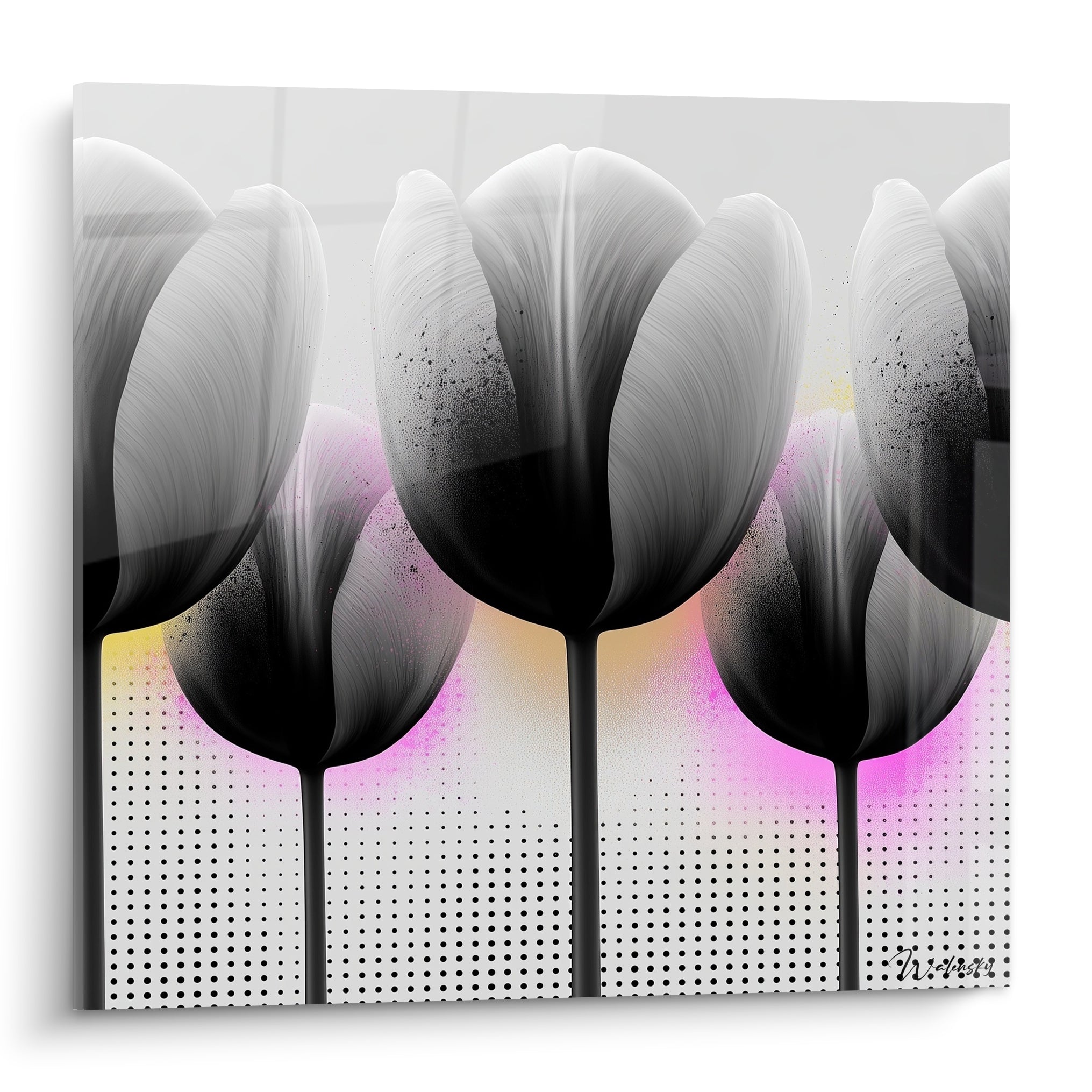 Tulipes noires et grises aux pétales granuleux, halo rose fuchsia et jaune pâle en arrière-plan