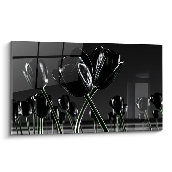Tulipes noires aux reflets argentés se dressent sur fond gris anthracite dans une composition graphique