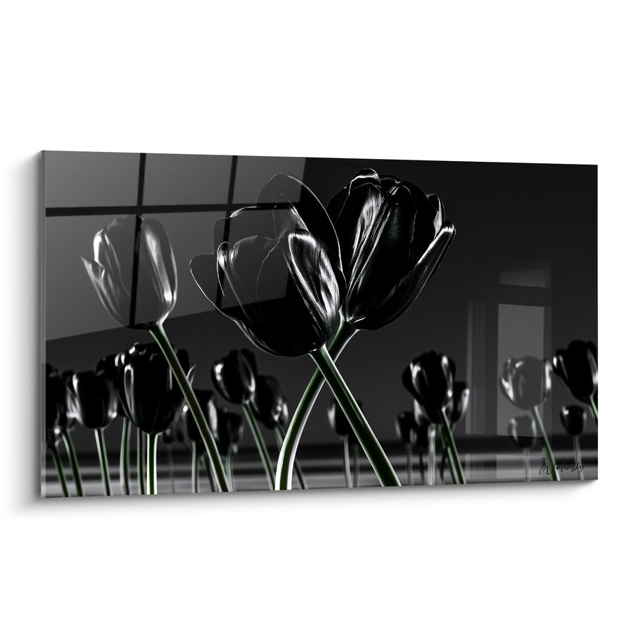Tableau Tulipes noires et grises aux tiges entrecroisées - Reflet vitré urbain - Edition Tulipe