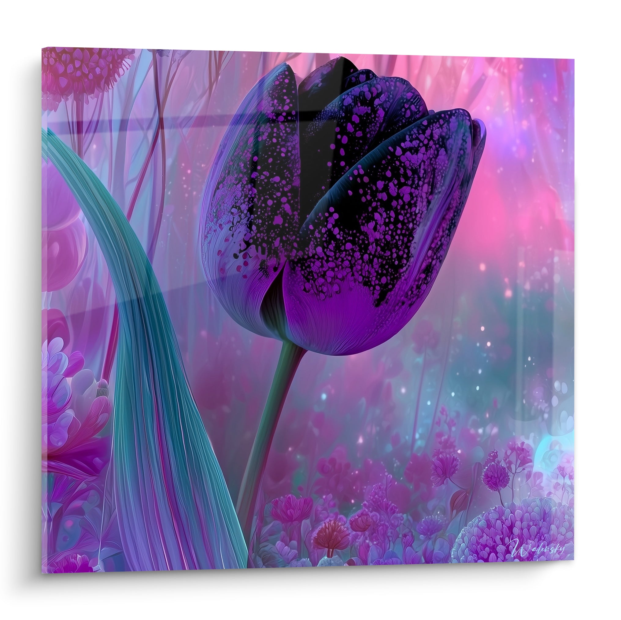 Tulipe noire mouchetée de violet et rose, fleur unique dans un jardin flouté et lumineux