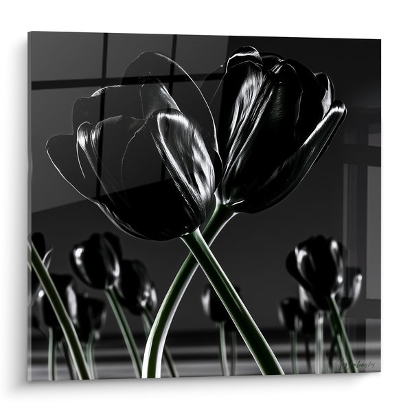 Tableau Tulipes noires aux tiges entrelacées - Étreinte florale - Edition Tulipe