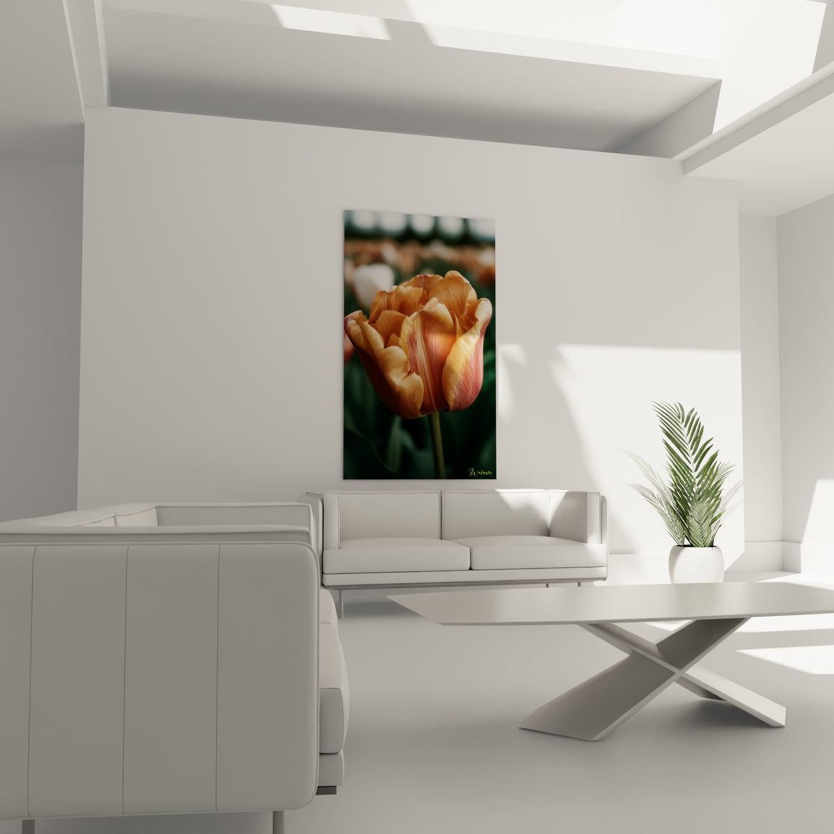 Fleur corail et ocre aux nervures fines trône au-dessus d'un canapé dans un salon lumineux