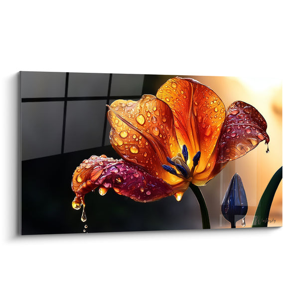 Tableau Tulipe orange et pourpre aux gouttes ruisselantes - Bouton bleu givré - Edition Tulipe