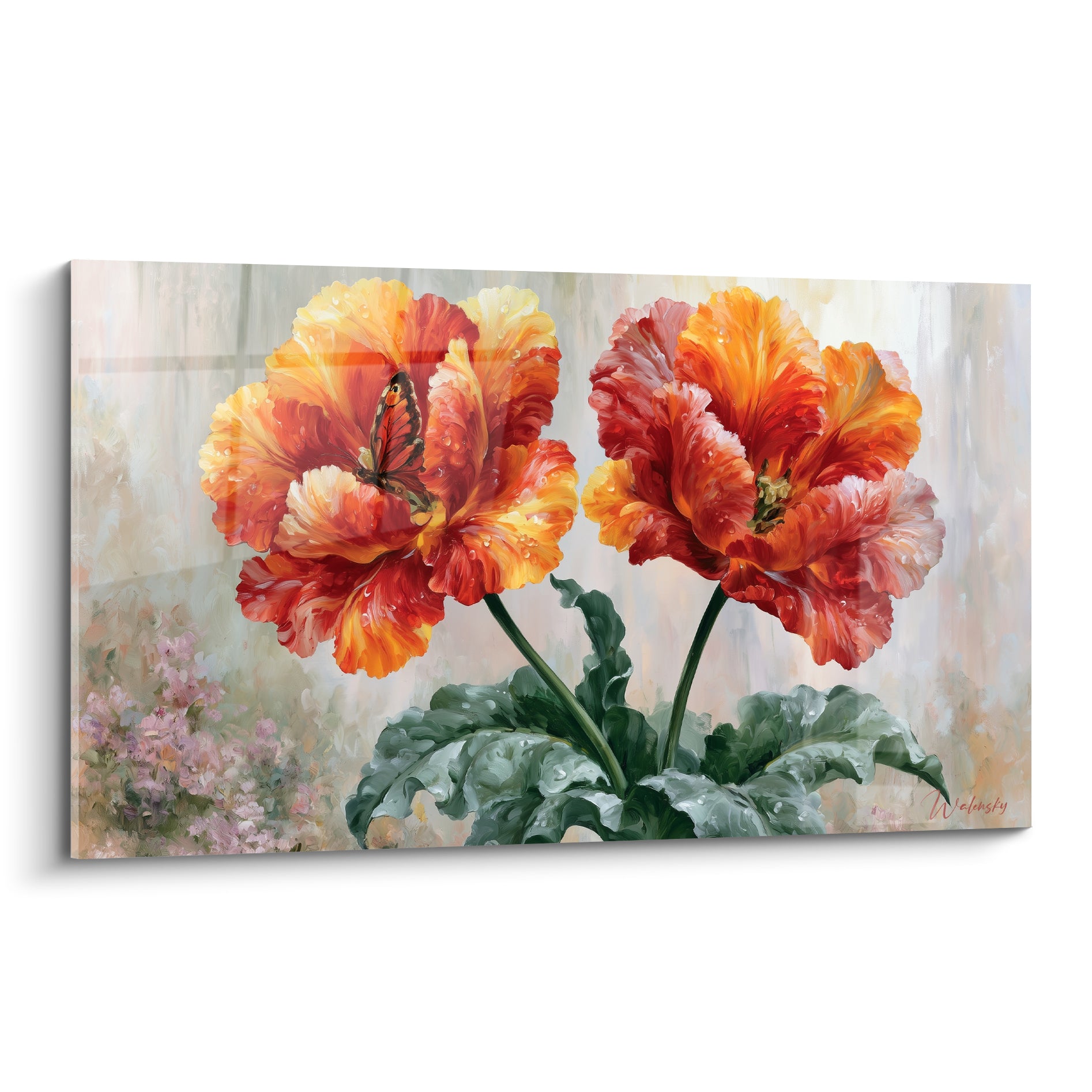 Tulipes orange et rouge aux pétales veloutés parsemés de rosée, papillon posé entre les corolles