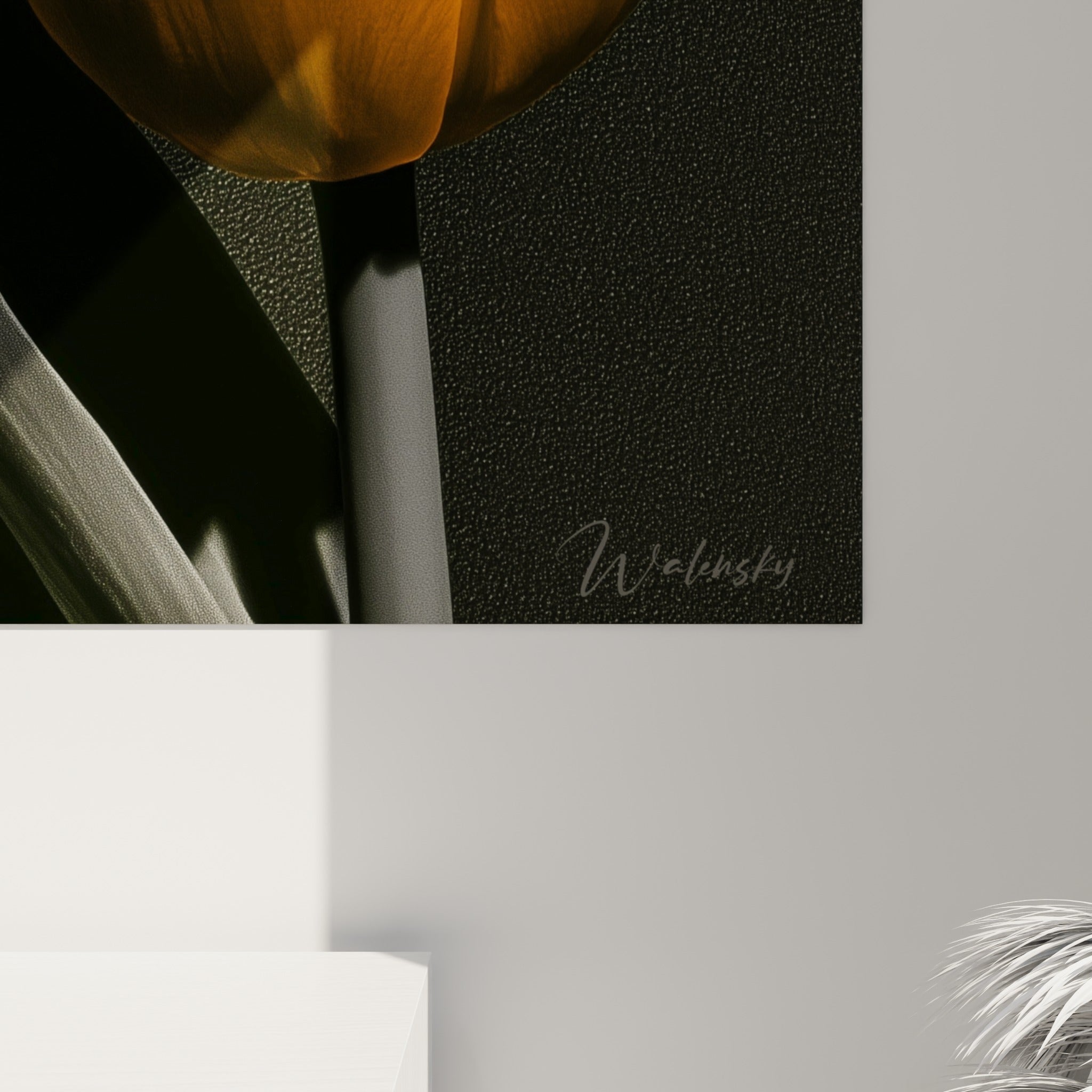 Grain et texture révélés de près sur les pétales orange et le fond anthracite d'une tulipe