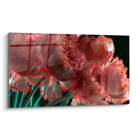 Tulipes perroquet corail aux pétales frangés et tiges turquoise sur fond anthracite profond