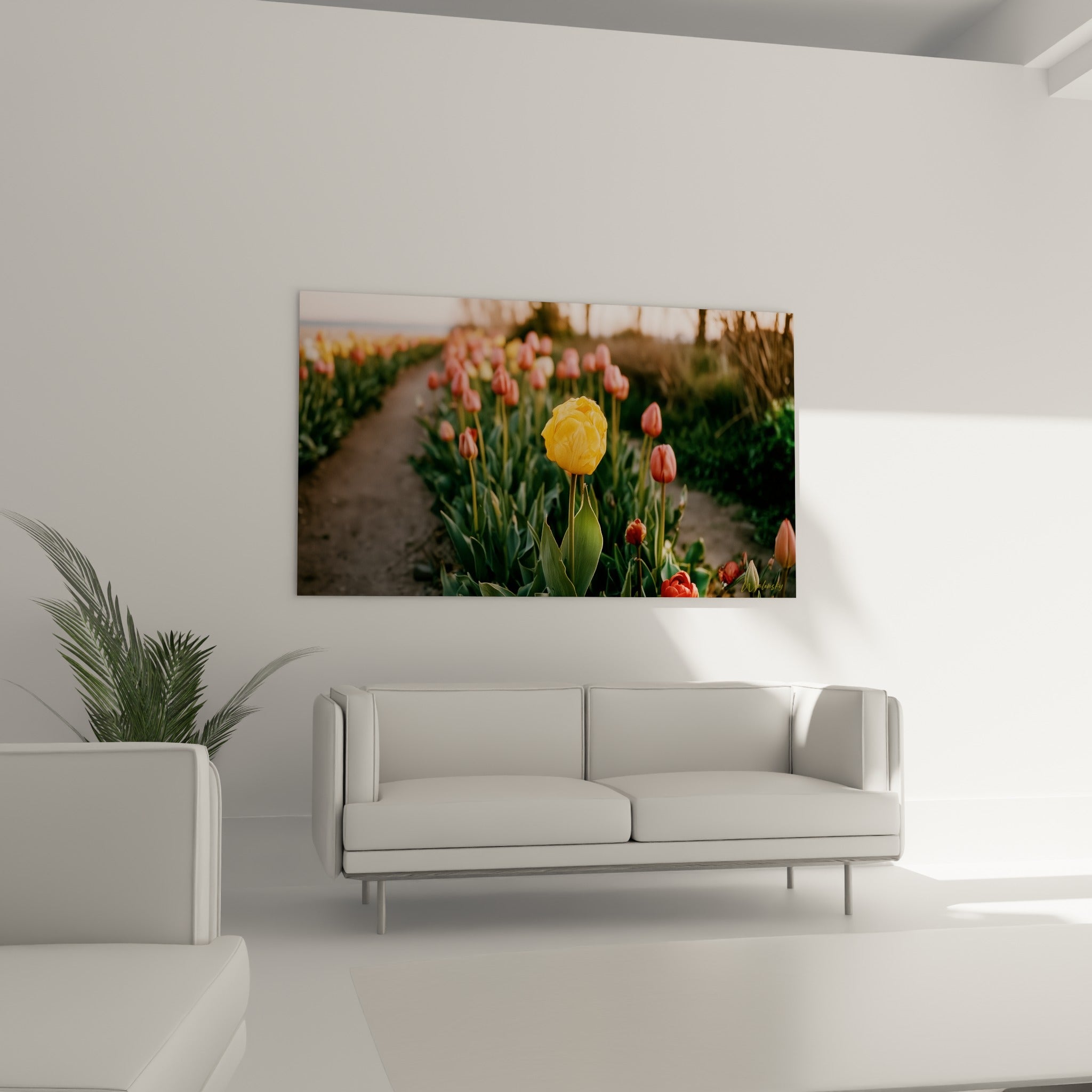 Pétales jaune doré et tiges vertes d'une tulipe, tableau placé au-dessus d'un canapé dans un salon lumineux