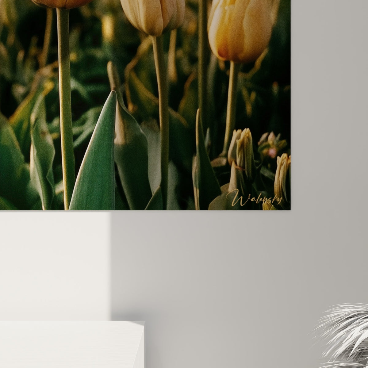 Pétales de tulipe rose et crème aux nuances dorées, texture soyeuse et lumière chaude visibles de près