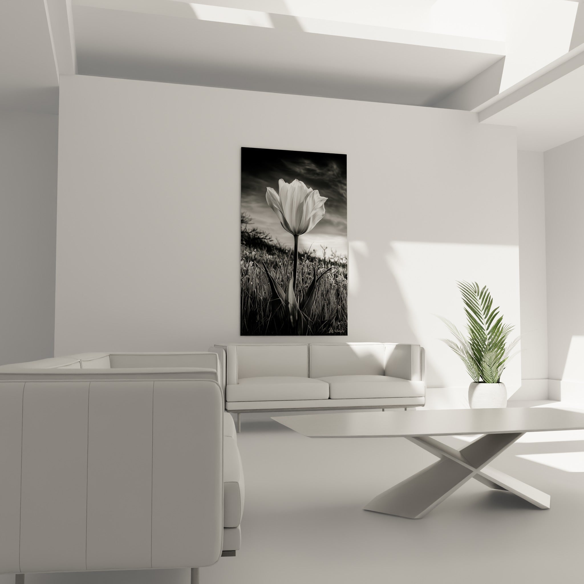 Pétales blancs lumineux contrastant avec un ciel gris sombre au-dessus d'un canapé dans un salon lumineux