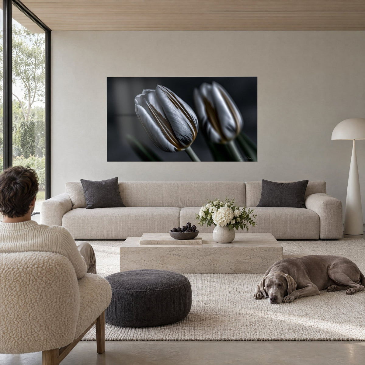 Gemälde weiße Tulpe mit braunen Streifen, im Vordergrund scharf, daneben unscharf die Nachbarblüte auf anthrazitfarbenem Grund, über einem Sofa in einem hellen Wohnzimmer