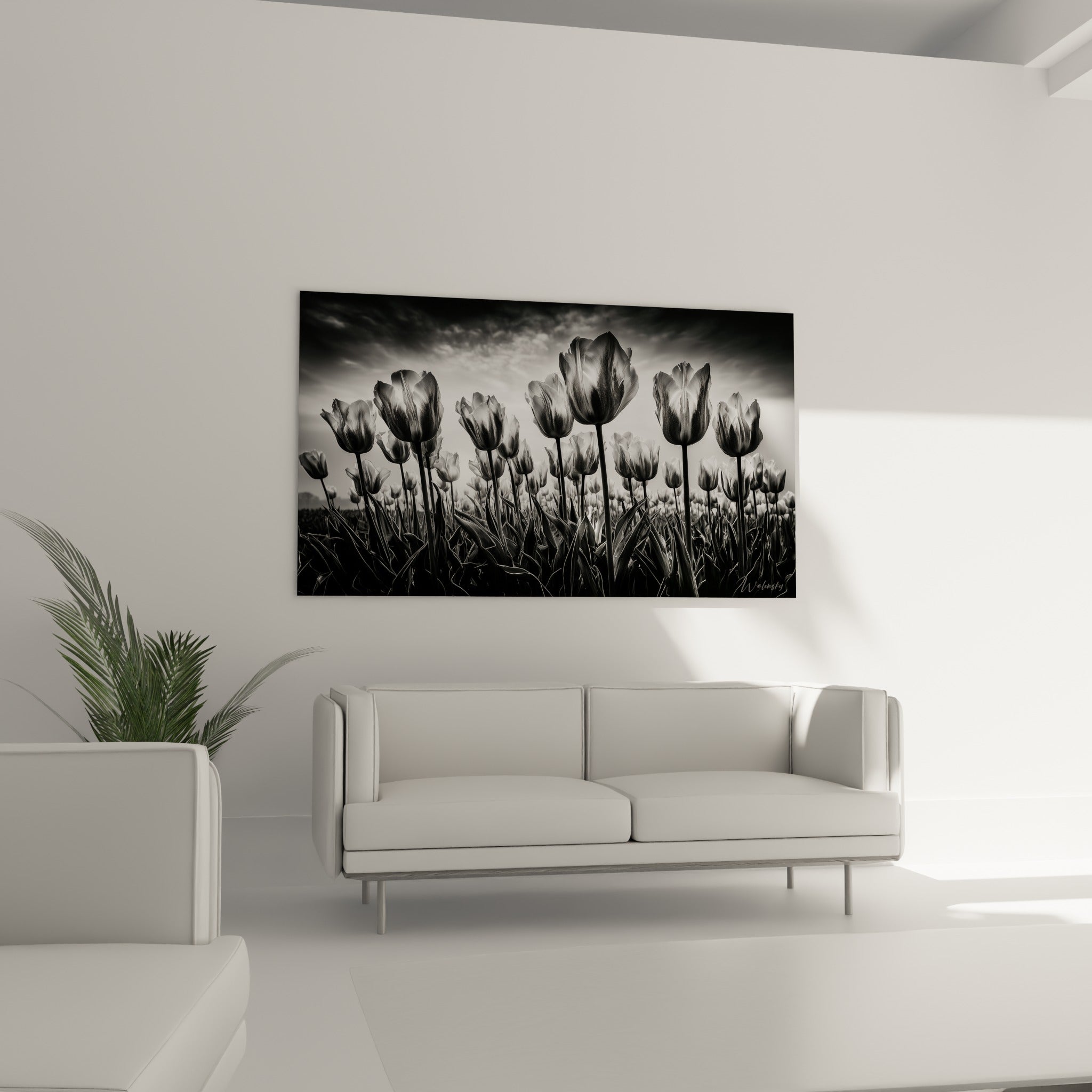 Pétales de tulipes graphiques en noir et blanc, disposés au-dessus d'un canapé dans un salon lumineux.