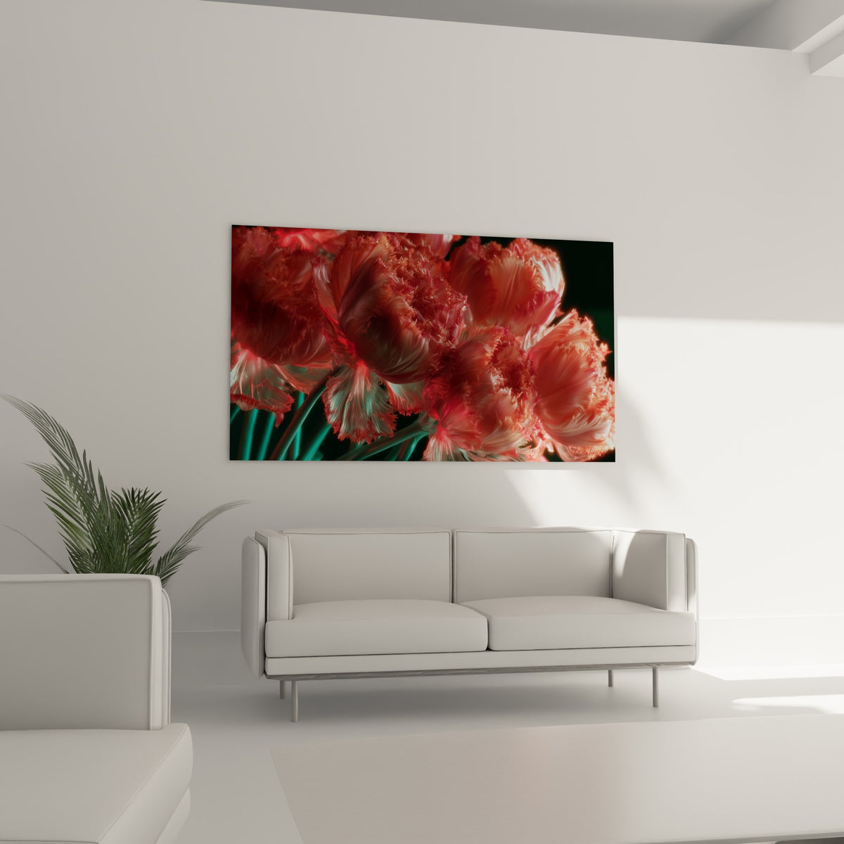 Pétales de tulipe corail et blanc nacré ondulant, au-dessus d'un canapé dans un salon lumineux