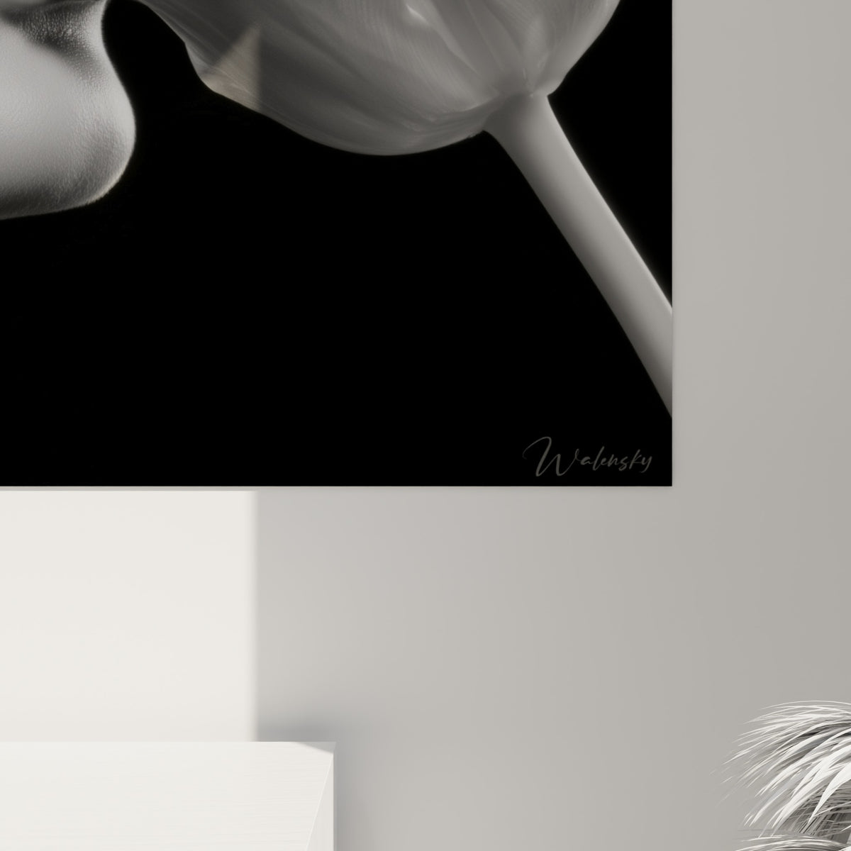 Pétales de tulipe texturés en gris nacré et blanc, grain photographique visible sur la toile accrochée