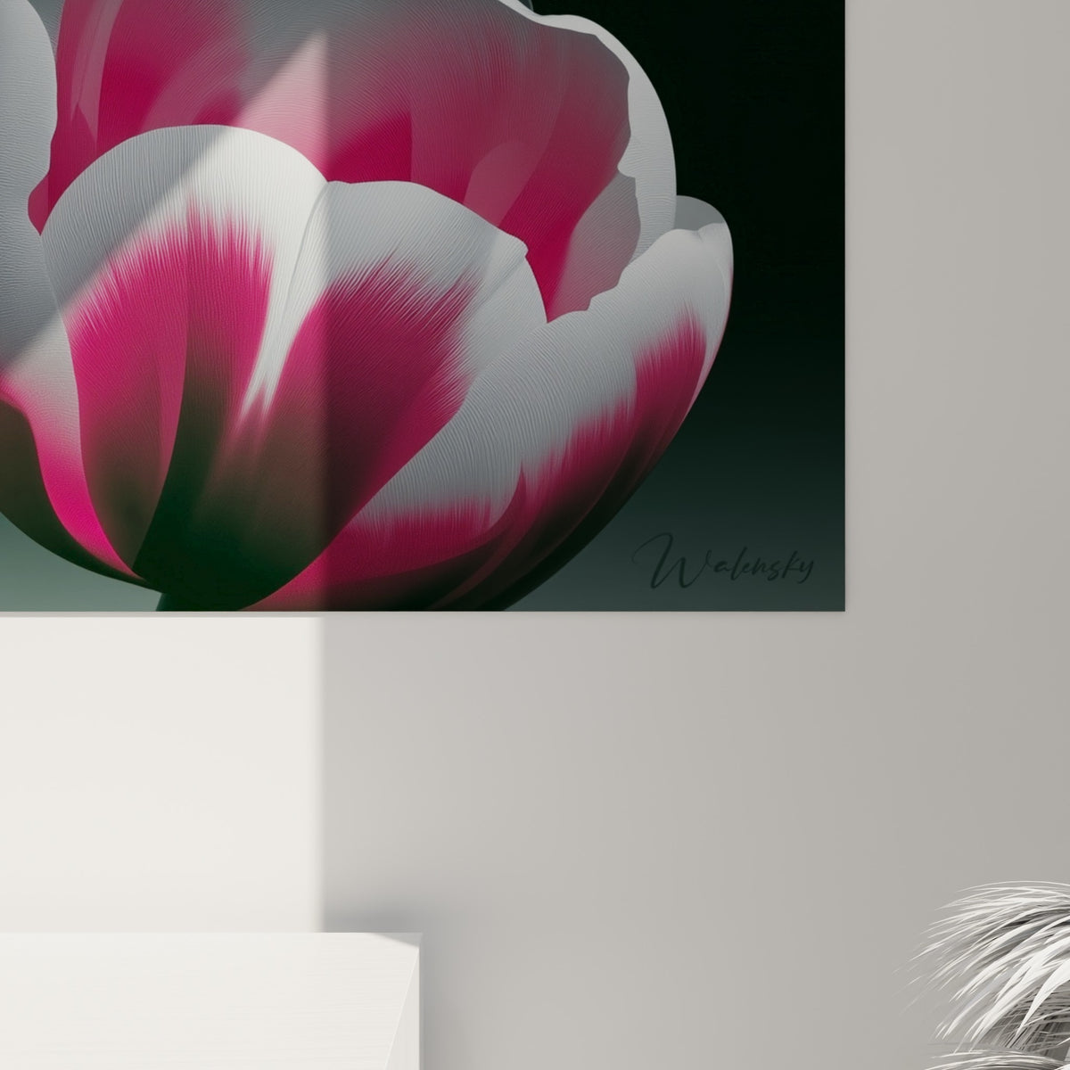 Pétales de tulipe en gros plan révèlent des nervures blanches et un cœur rose framboise texturé sur fond anthracite