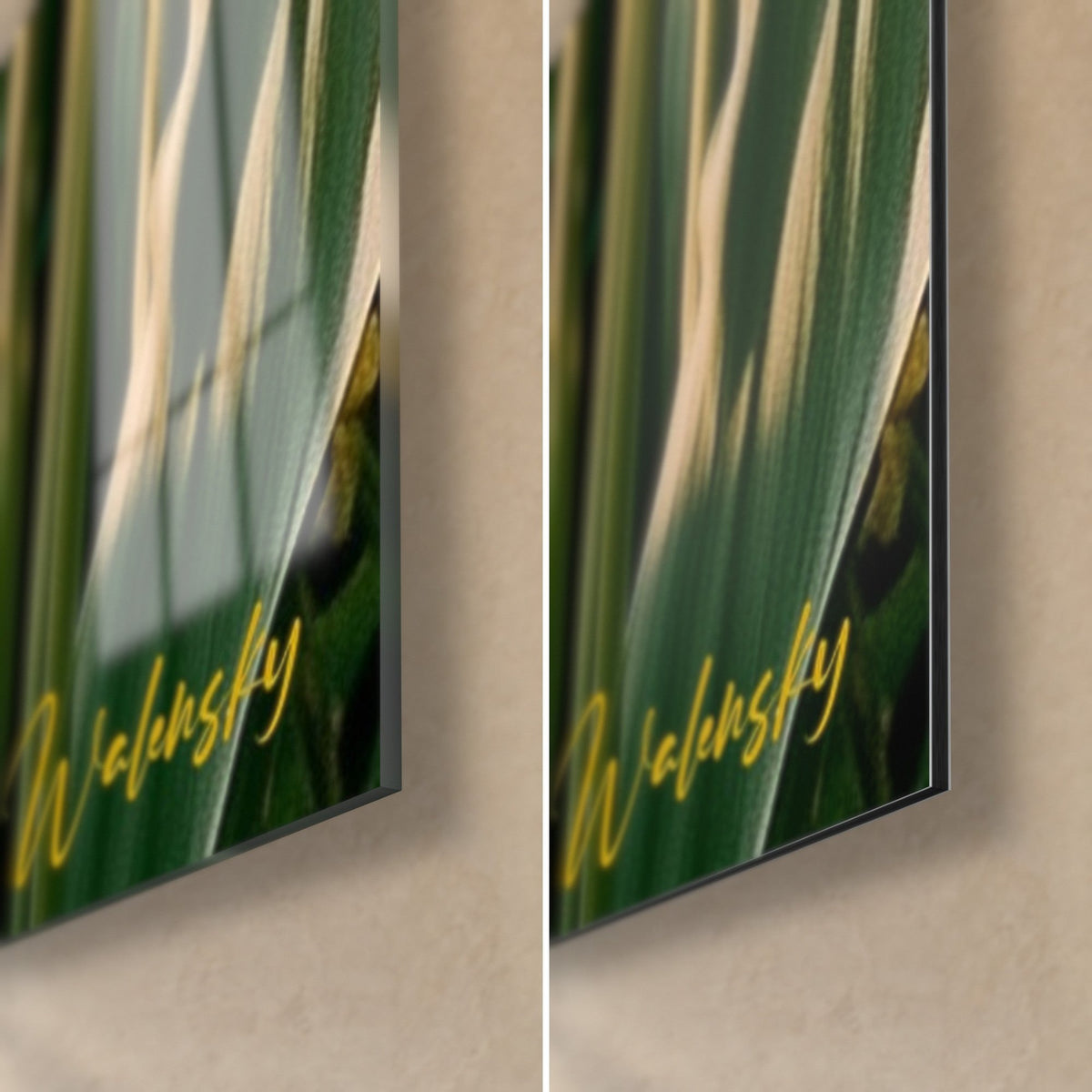 Quadro Tulipani giallo limone in primo piano, angolo in basso a destra: vetro acrilico lucido a sinistra, Dibond opaco a destra, spessore 3 mm
