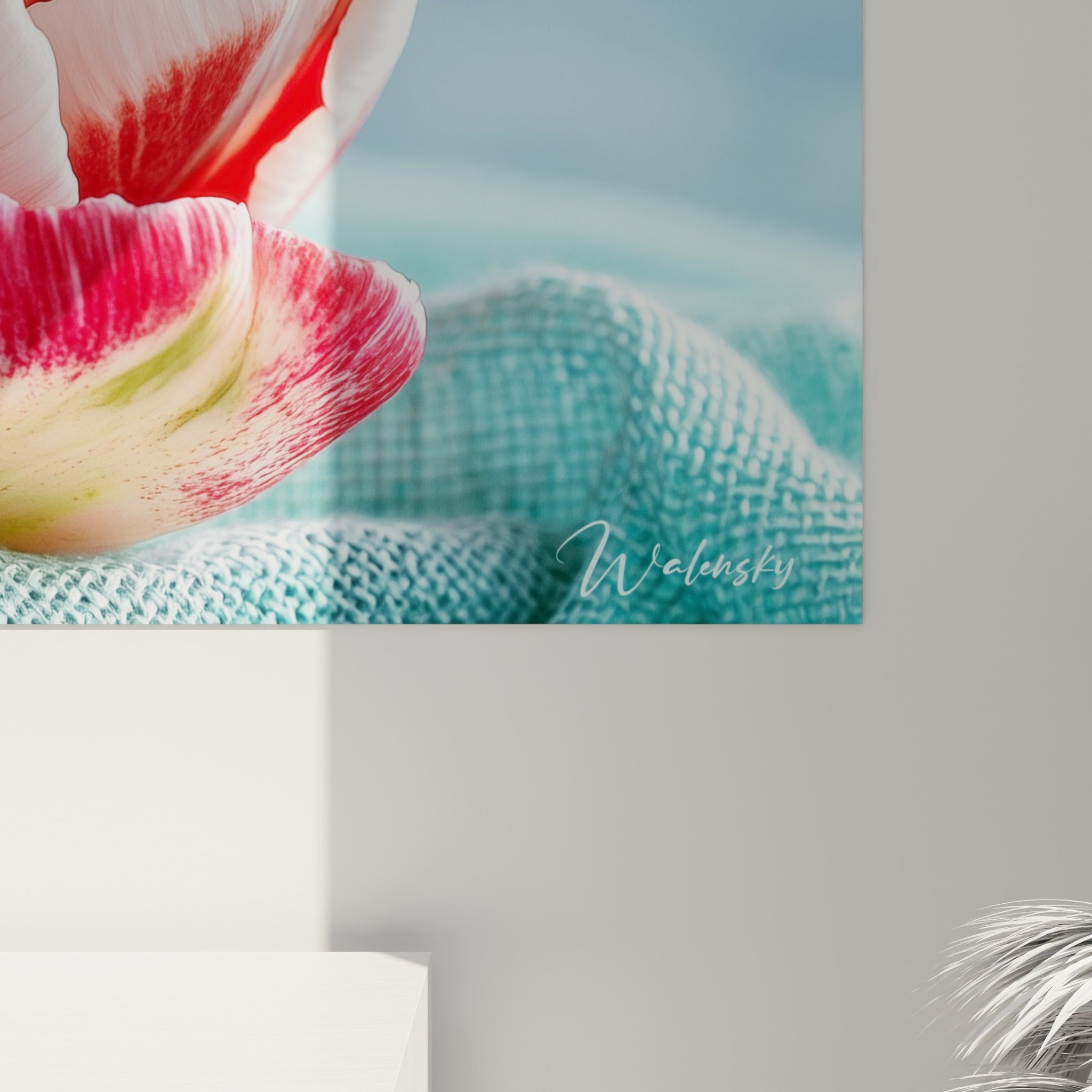 Grain velouté des pétales blancs et roses de la tulipe, veines délicates et lumière douce visibles de près