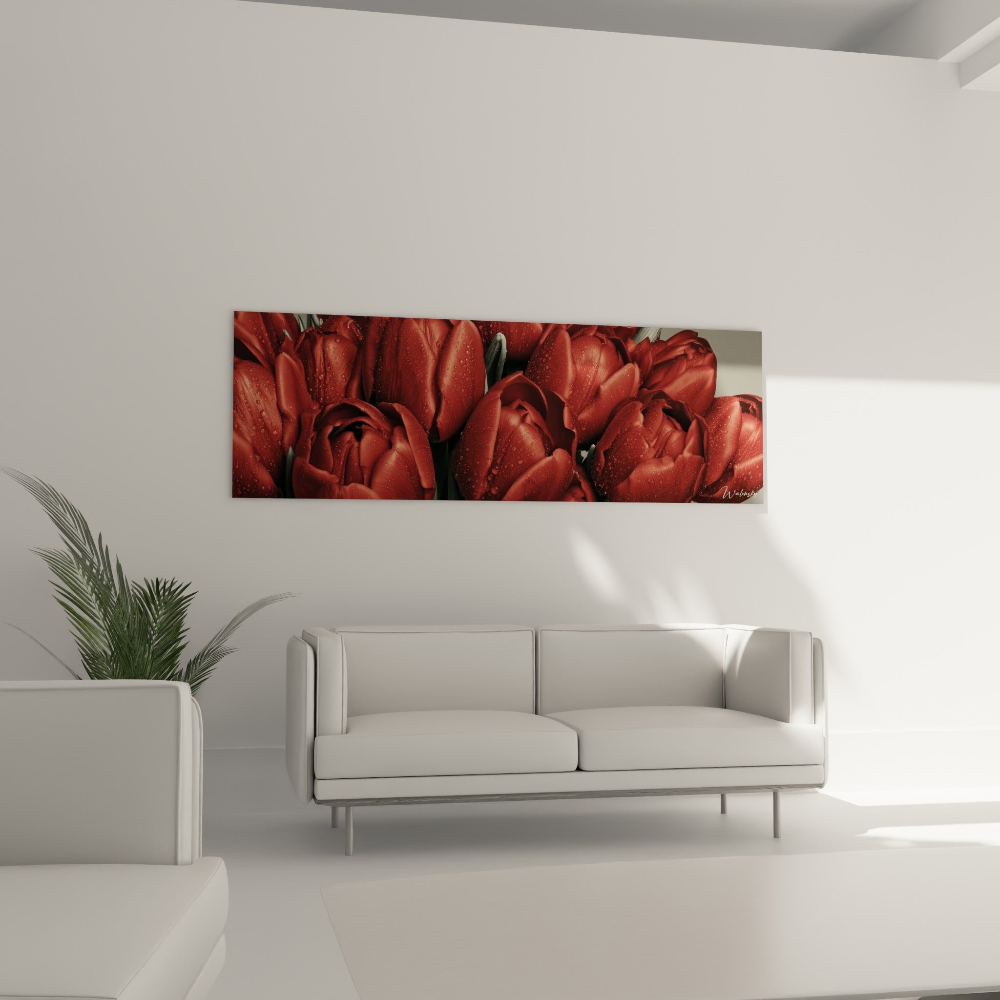 Pétales de tulipes bordeaux gorgés de rosée placés au-dessus d'un canapé dans un salon lumineux