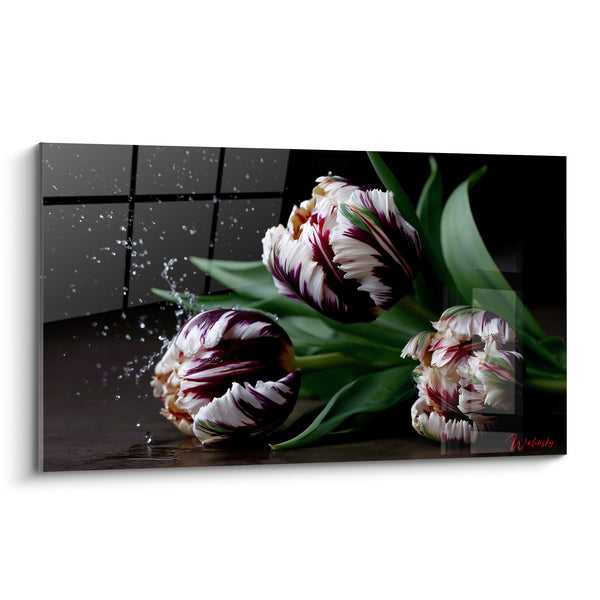 Tableau Tulipes pourpres et blanches sous éclaboussures d'eau - Éclat de fraîcheur - Edition Tulipe