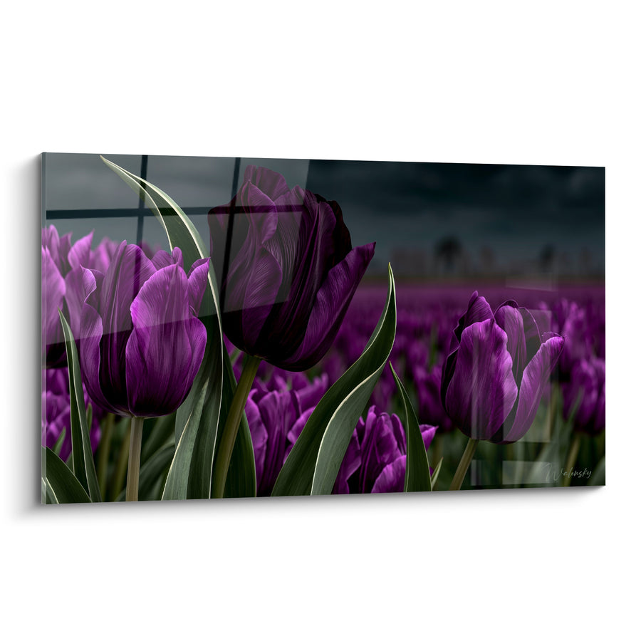 Tableau Tulipes pourpres et vert sombre en champ - Silence orageux - Edition Tulipe