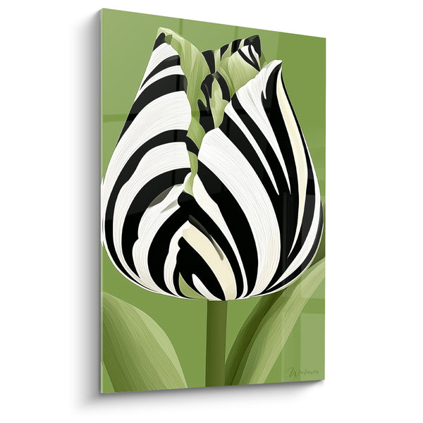 Tableau Tulipe rayée noir et blanc sur fond vert - Rayures botaniques - Edition Tulipe
