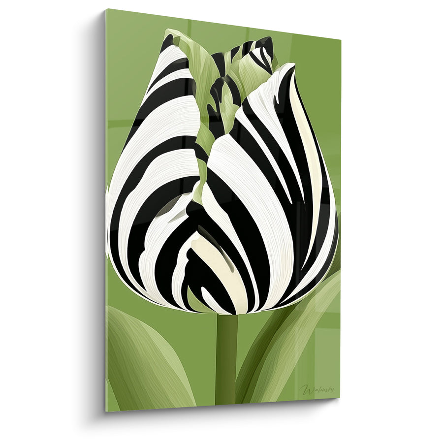 Tableau Tulipe rayée noir et blanc sur fond vert - Rayures botaniques - Edition Tulipe