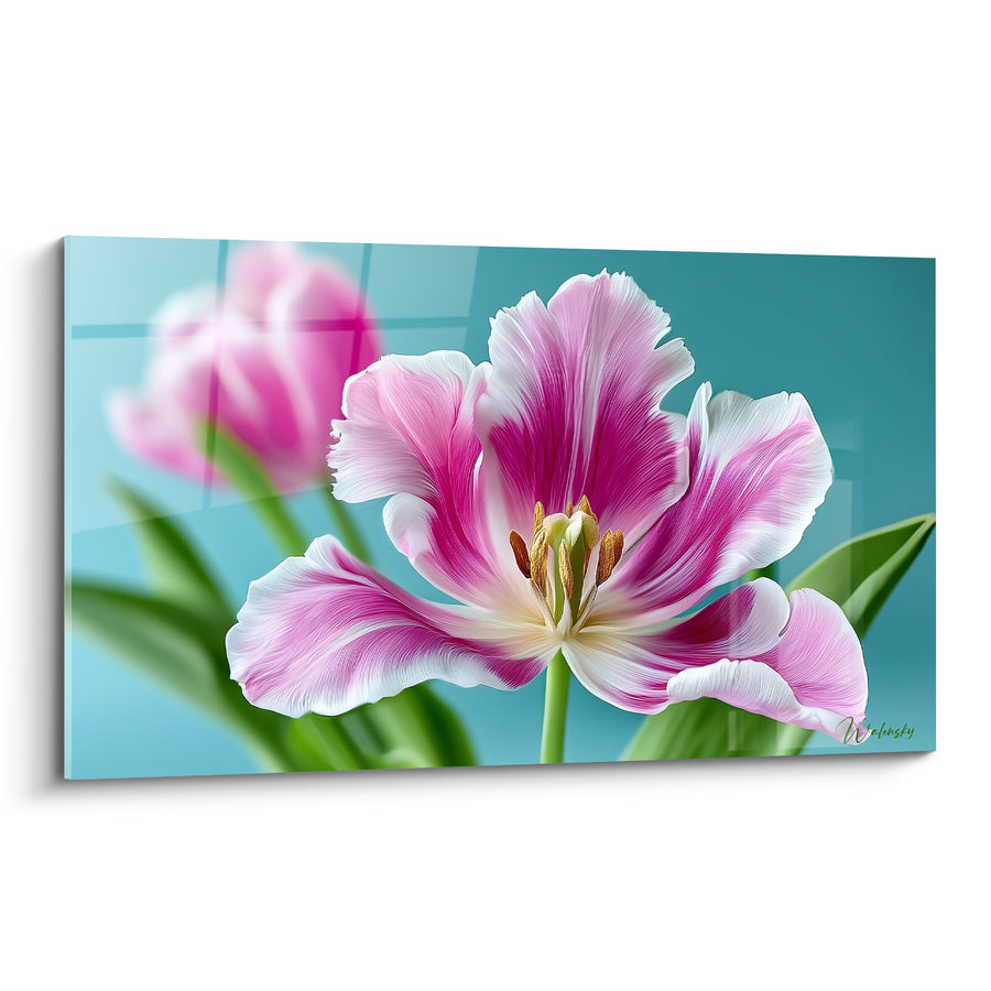 Tableau Tulipe rose et blanche aux pétales veinés - Étamines dorées au centre - Edition Tulipe