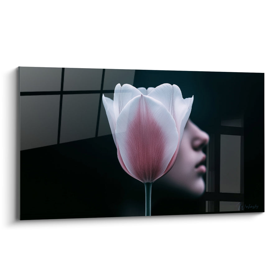 Tableau Tulipe blanche et rose au visage voilé - Rêverie silencieuse - Edition Tulipe