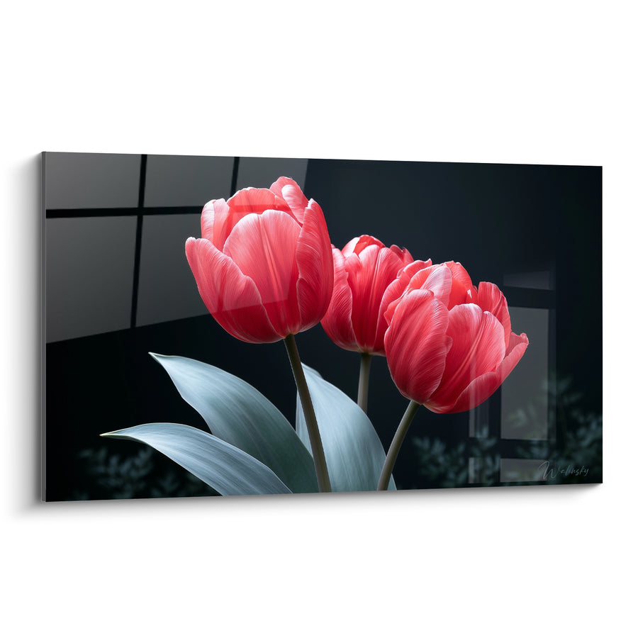 Tableau Tulipes roses et noires devant fenêtre vitrée - Trio floral serré - Edition Tulipe