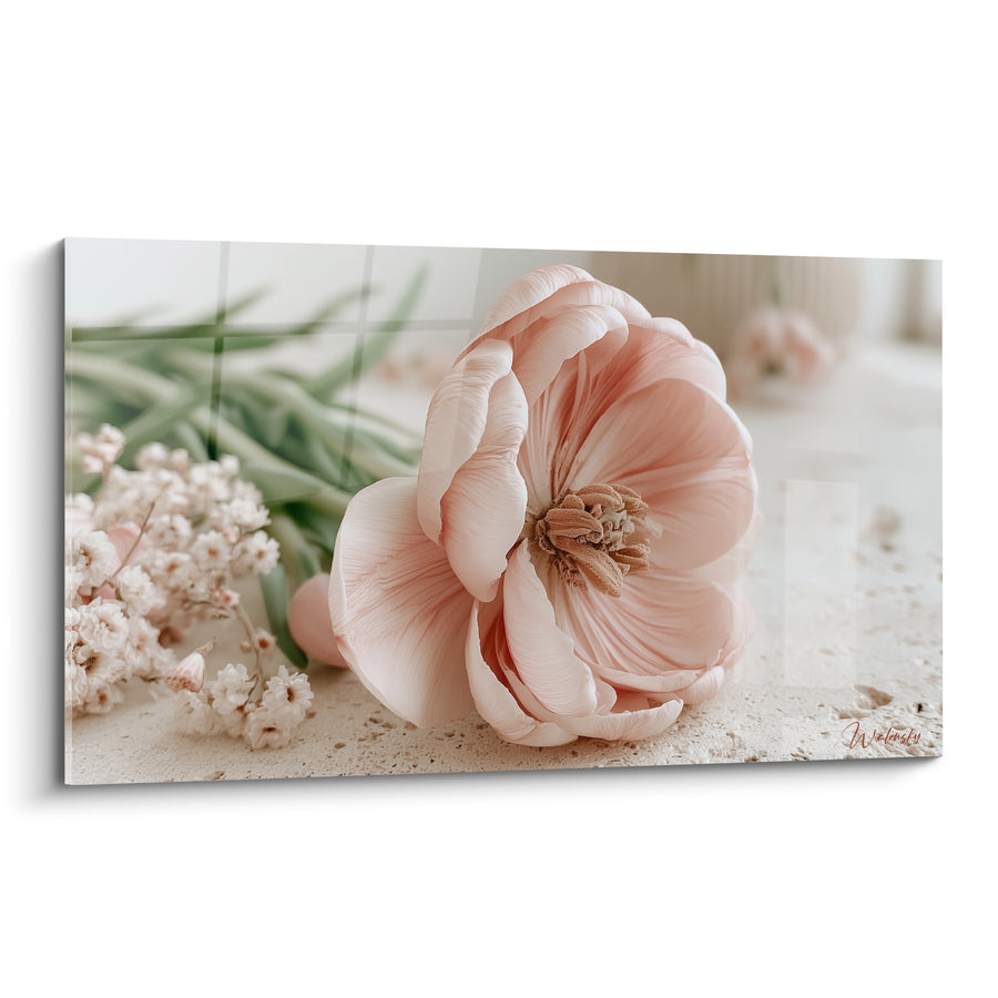 Tableau Tulipe rose pâle et crème aux petites fleurs blanches - Étamines brunes veloutées - Edition Tulipe