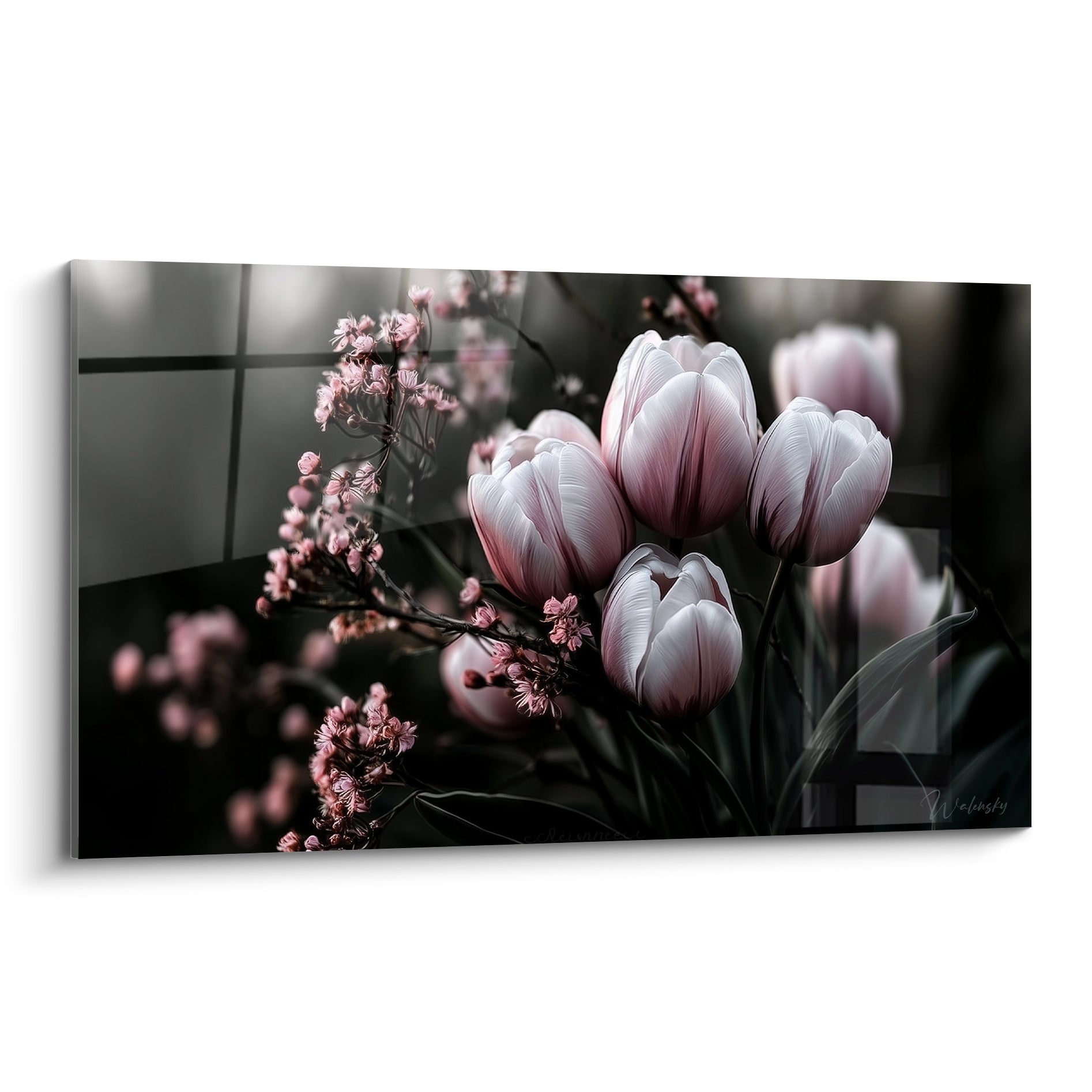 Tulipes blanc nacré et rose poudré sur fond anthracite avec fleurs de cerisier délicates
