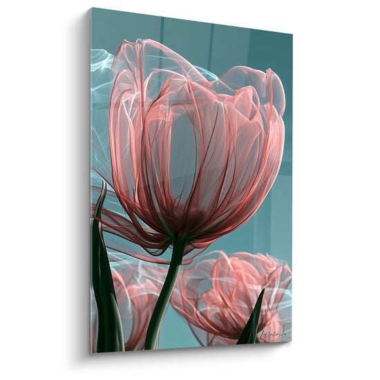 Tableau Tulipe transparente aux pétales roses nervurés - Fleur en apesanteur - Edition Tulipe