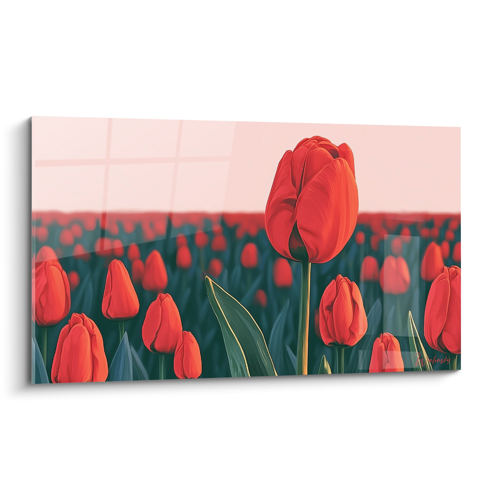 Tulipe rouge dressée devant un champ vert sapin sous un ciel rose pâle et lumineux