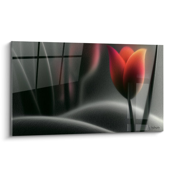 Tulipe rouge et orangé lumineuse se détachant sur un fond gris anthracite structuré