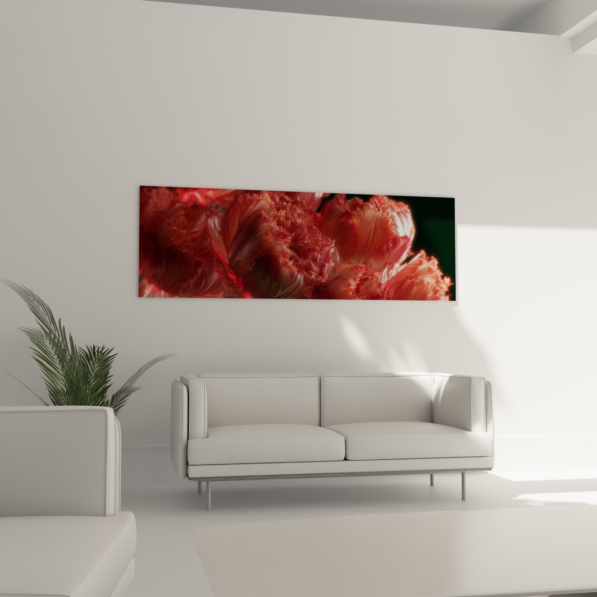 Fleurs de tulipe corail et rouge profond, textures ondulées, au-dessus d'un canapé dans un salon lumineux.