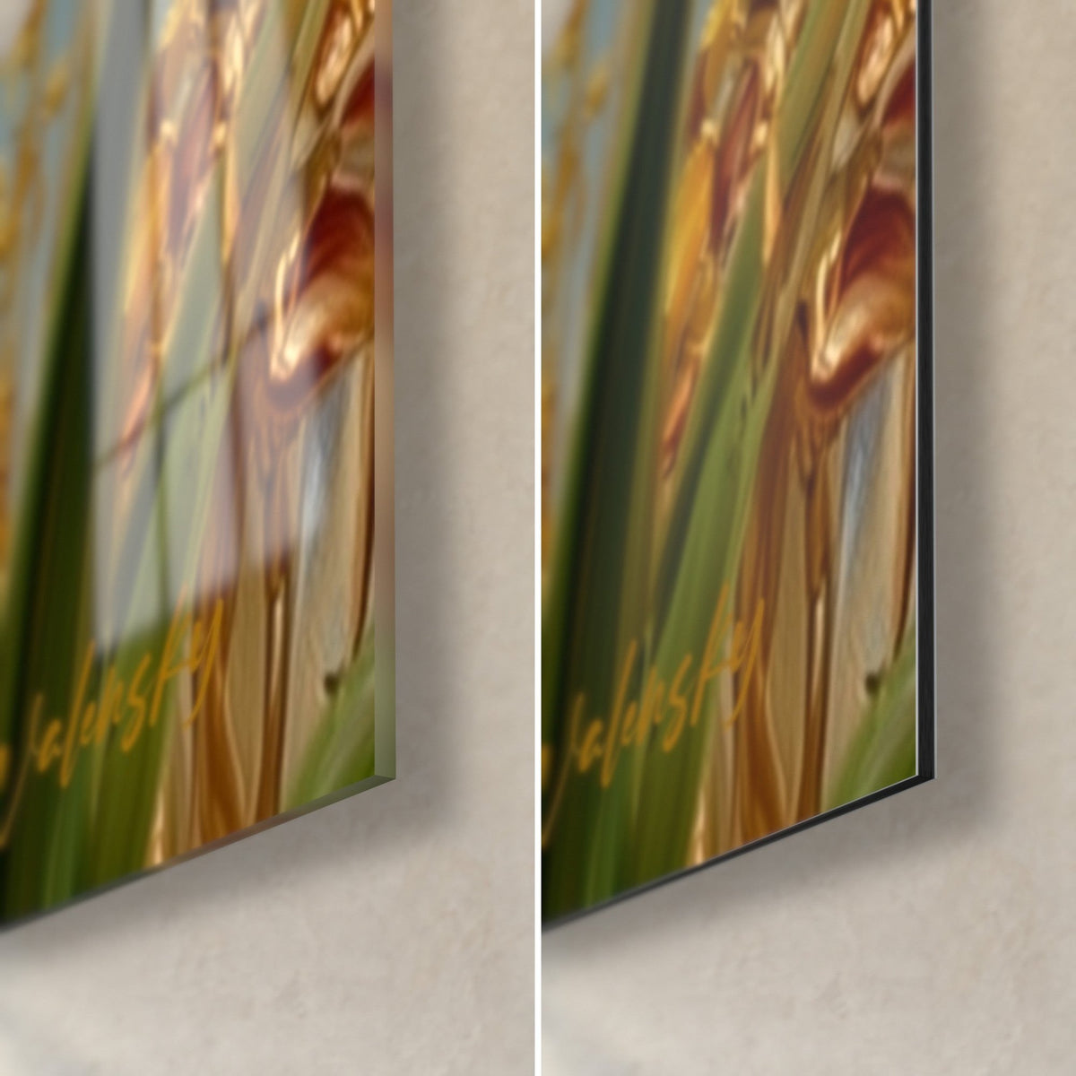 Tableau tulipes dorées, coin bas droit : verre acrylique brillant à gauche, Dibond mat noir à droite, tranche de 3 mm