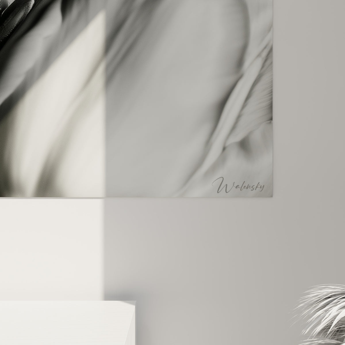 Matière granuleuse du portrait noir et blanc révélant les reflets soyeux du pétale de tulipe