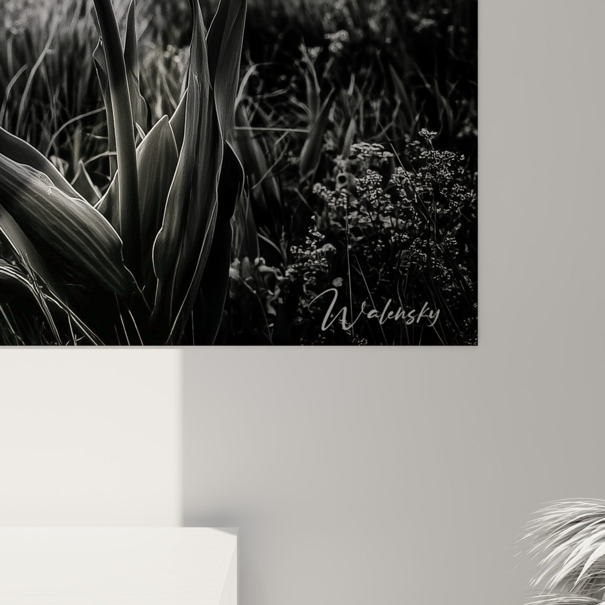 Grain photographique révélant les nuances de gris et le blanc éclatant des pétales de la tulipe