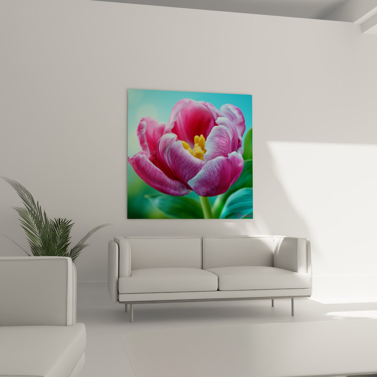 Fleur de tulipe rose et turquoise aux nervures fines, accrochée au-dessus d'un canapé dans un salon lumineux