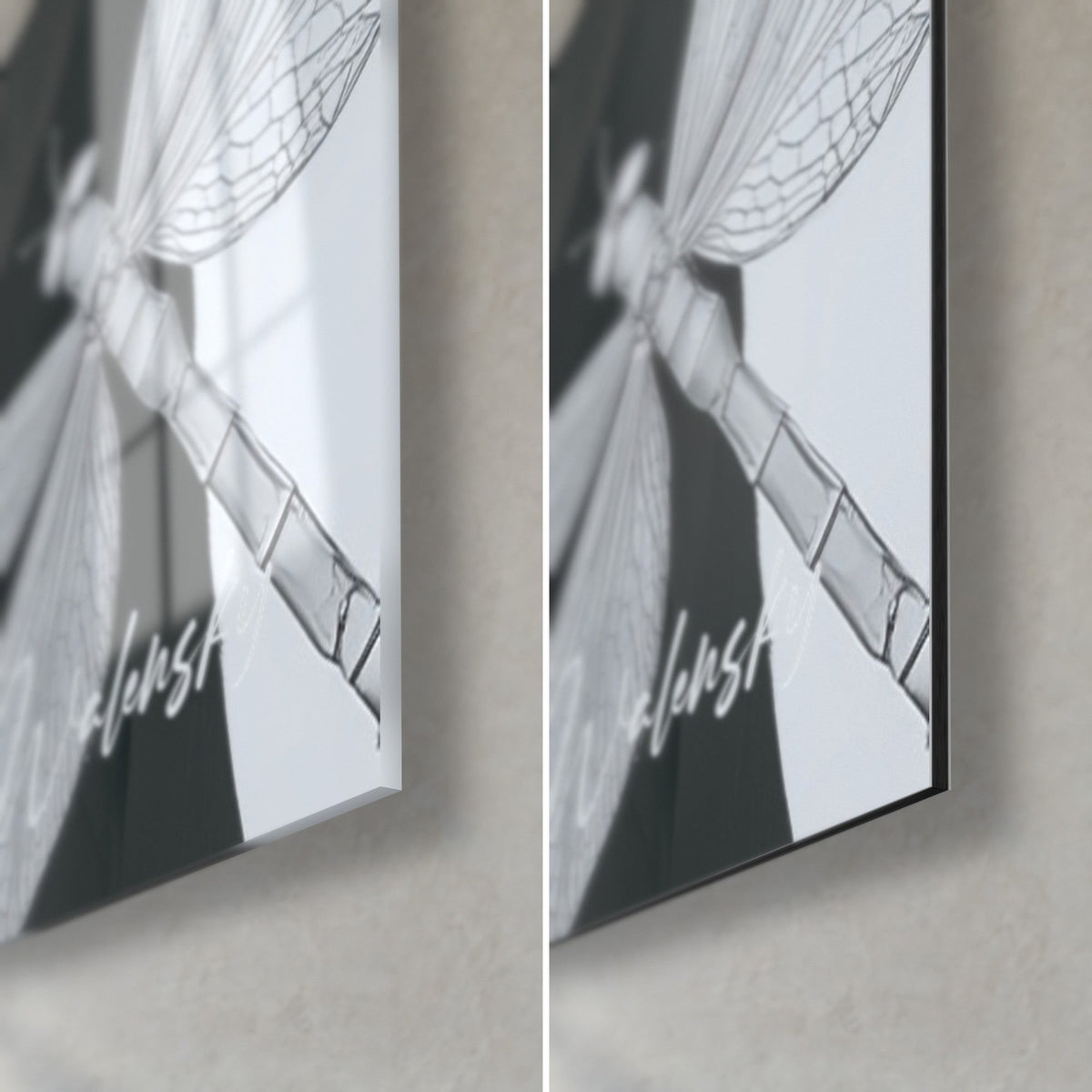 Tableau libellule aux ailes nervurées, noir et blanc, coin bas droit : verre acrylique brillant à gauche, alu Dibond mat à droite