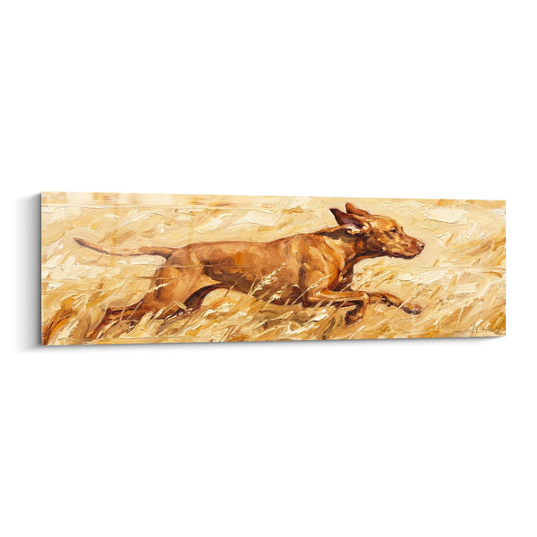 Cuadro de Perro de Caza en Movimiento en Trigos Dorados - Carrera Salvaje - Edición Vizsla