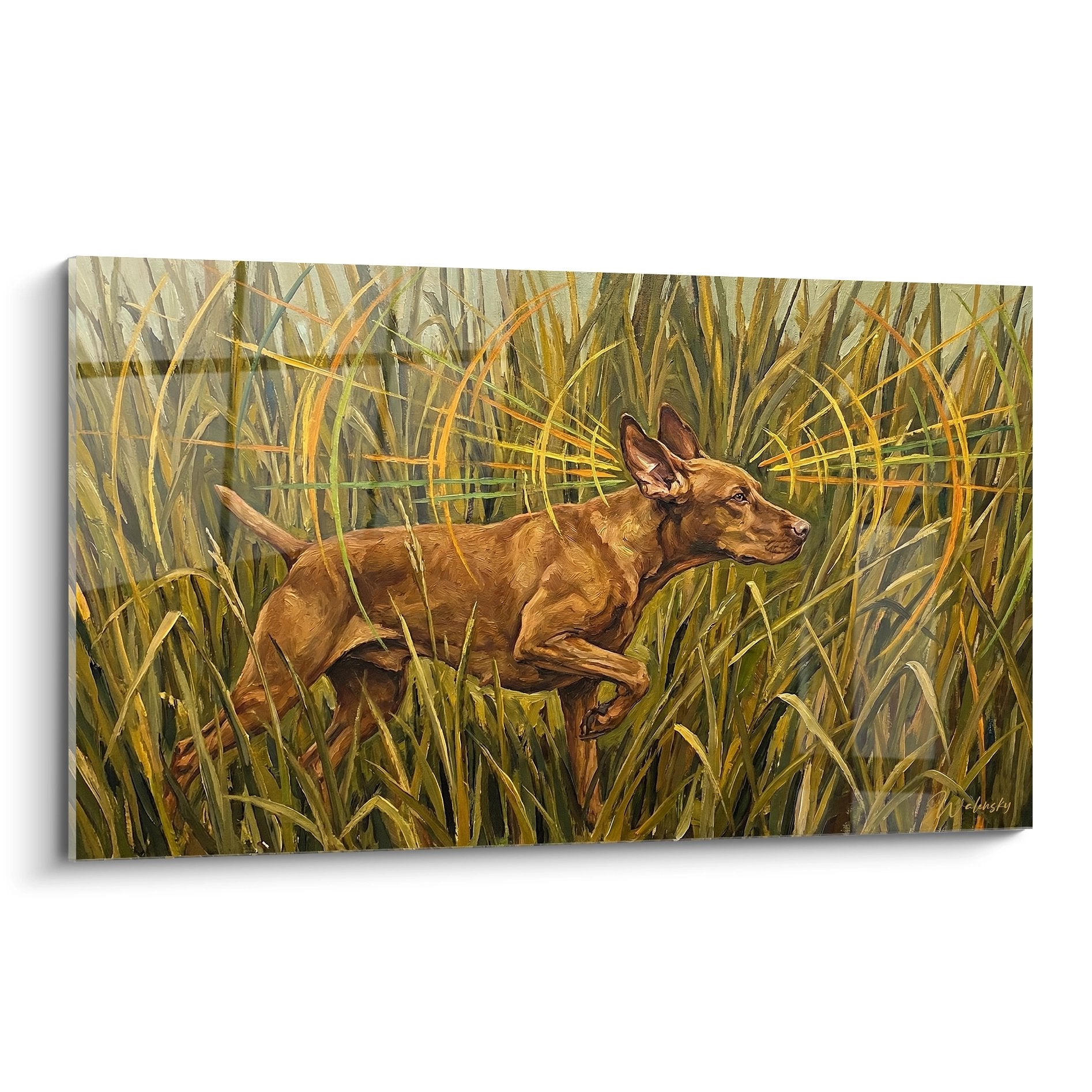 Tableau artistique Vizsla roux couche dans hautes herbes dorees ambiance naturelle chaleureuse
