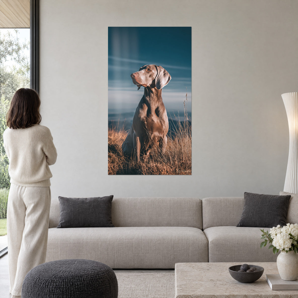 Obraz Weimaraner o srebrzystoszarym futrze, wzrok skierowany ku granatowemu niebu, złote trawy, nad sofą w jasnym salonie