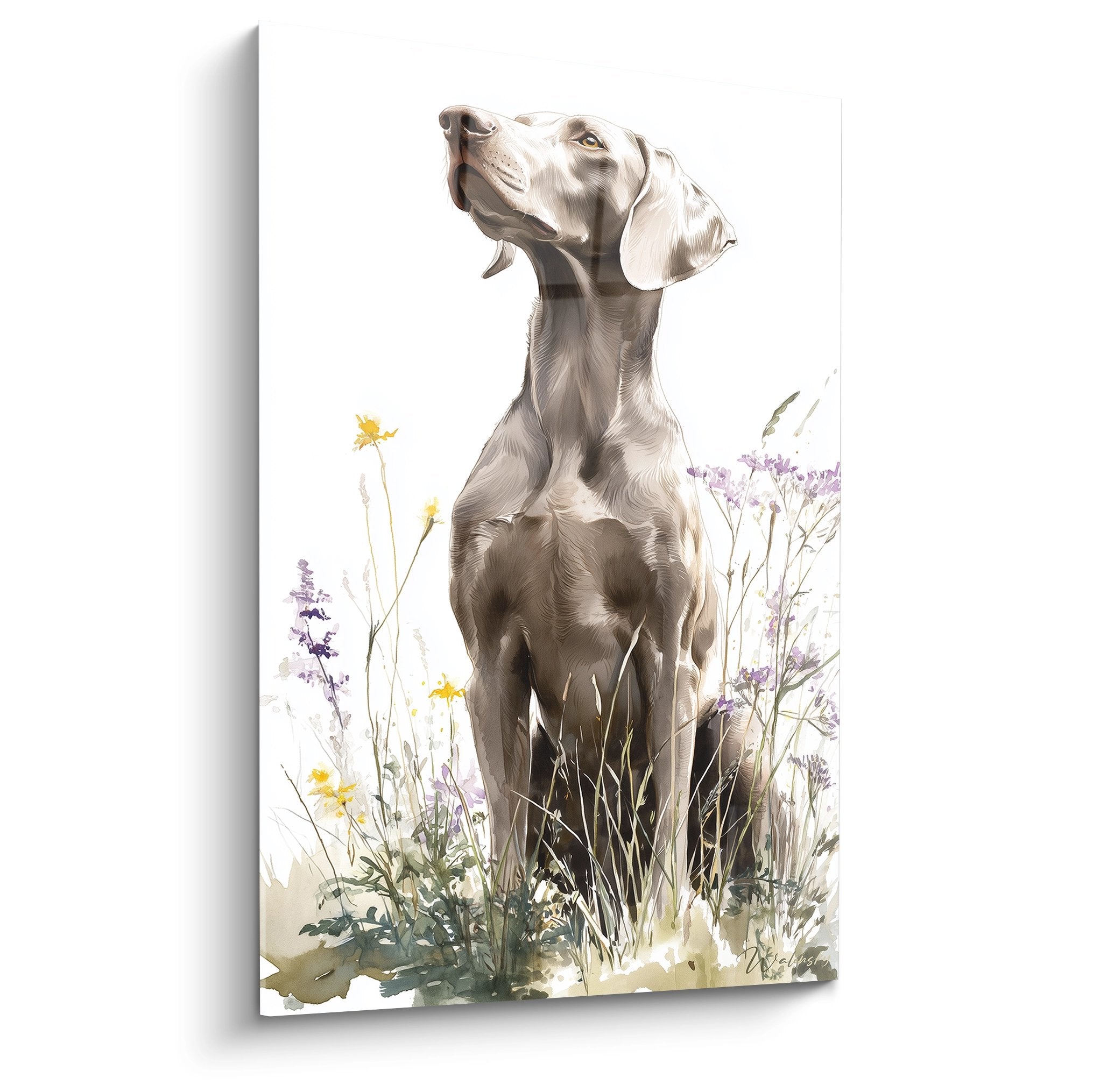 Tableau weimaraner gris au regard contemplatif entouré de fleurs sauvages violettes et jaunes sur fond clair