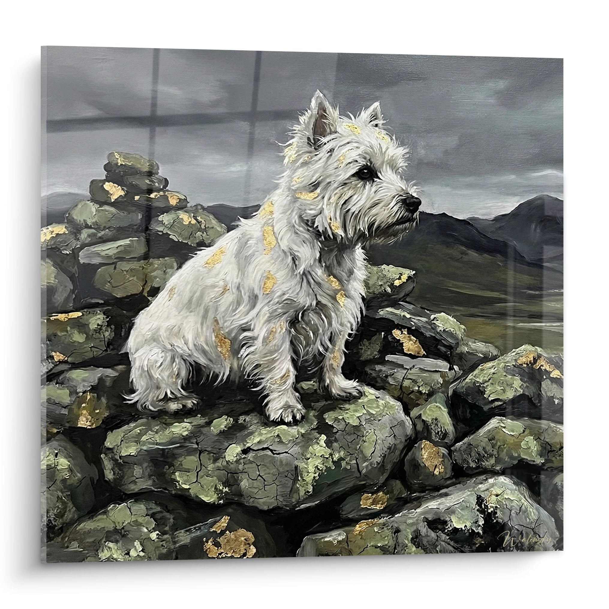 Tableau West Highland White Terrier blanc sur rochers moussus avec paysage montagneux écossais nuageux