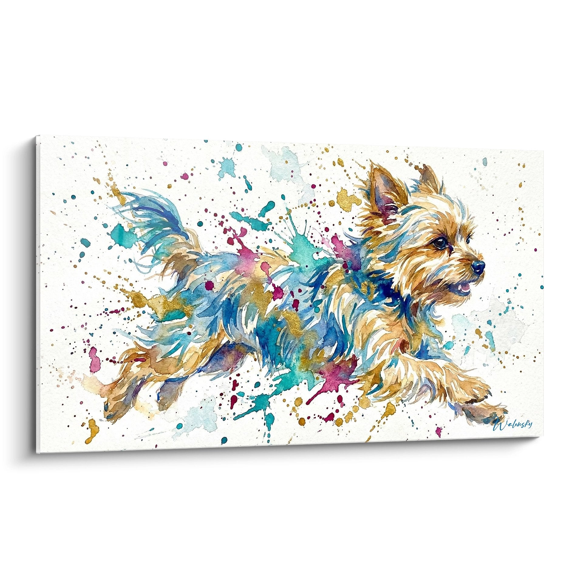 Tableau Yorkshire Terrier en course avec éclaboussures turquoise dorées violettes sur fond blanc