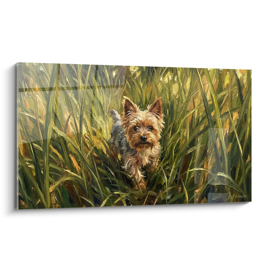 Tableau Petit Chien aux Poils Dorés dans les Hautes Herbes - Aventure Champêtre - Edition Yorkshire Terrier