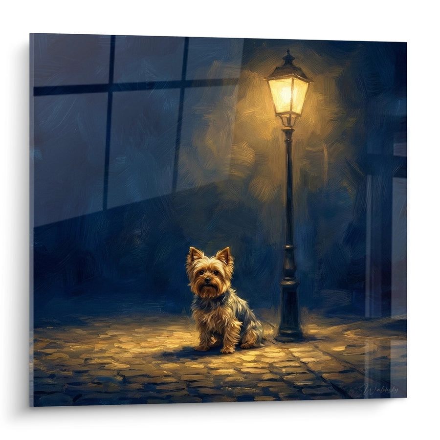 Tableau Yorkshire Terrier Sous Réverbère Nocturne - Charme des Rues Pavées - Edition Yorkshire Terrier