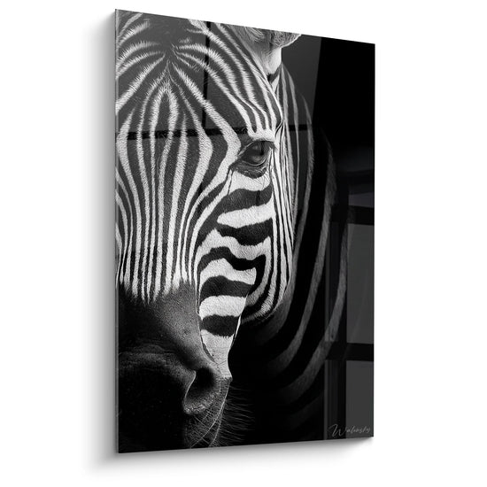 Zebra Portrait Profile Artwork - Intense Gaze - Black and White Animals Edition